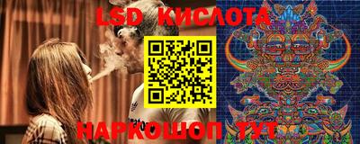 гидра Свободный