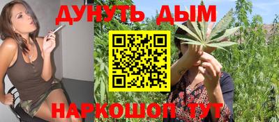 гидра Свободный