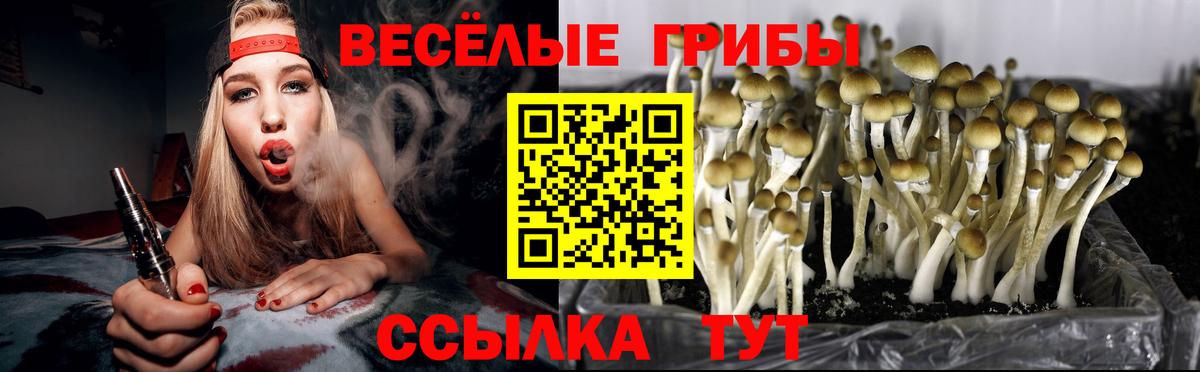 Сатка  Псилоцибиновые грибы Cubensis  Вход с VPN 